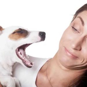 Remedios caseros para el mal aliento de los perros